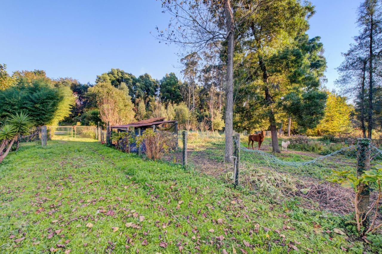 Casa Do Moinho Rural Campo E Praia , 9 Pessoas, Animais Benvindos Espinho  Zewnętrze zdjęcie